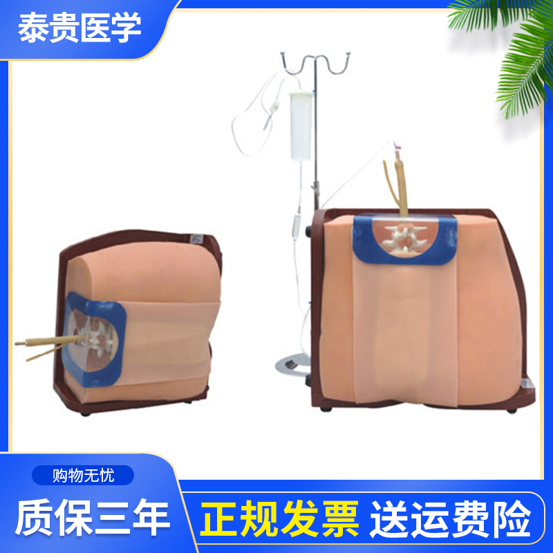 泰贵医学脊椎穿刺模型 硬模外骶骨穿刺训练模具 腰麻全麻穿刺模拟人 脑脊液流出模拟模型 医学教学实务训练器材