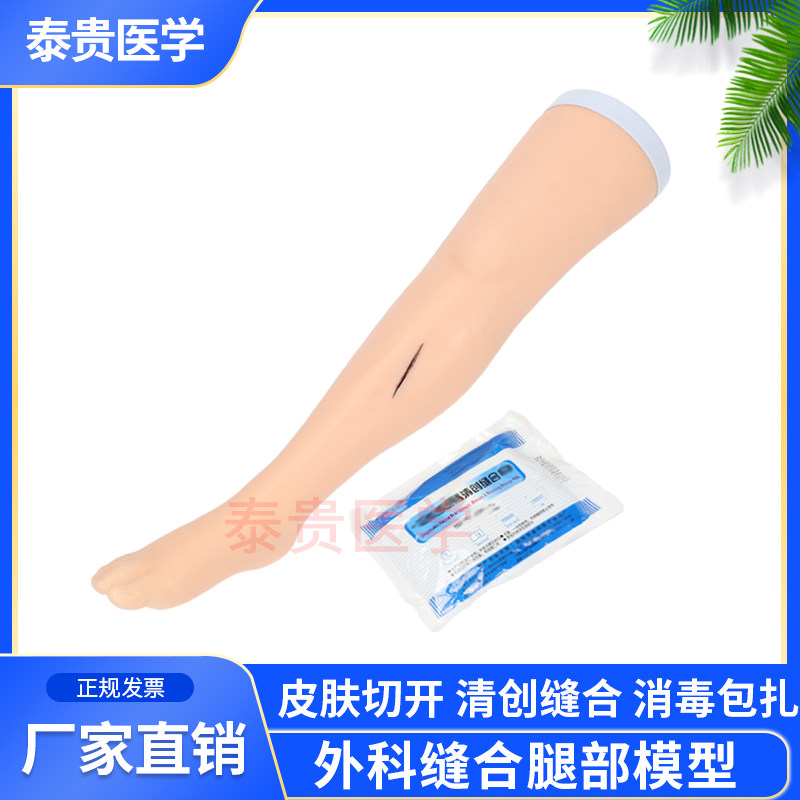 泰贵医学TG/LV10高级外科缝合腿部模型清创训练皮肤切开下肢保证