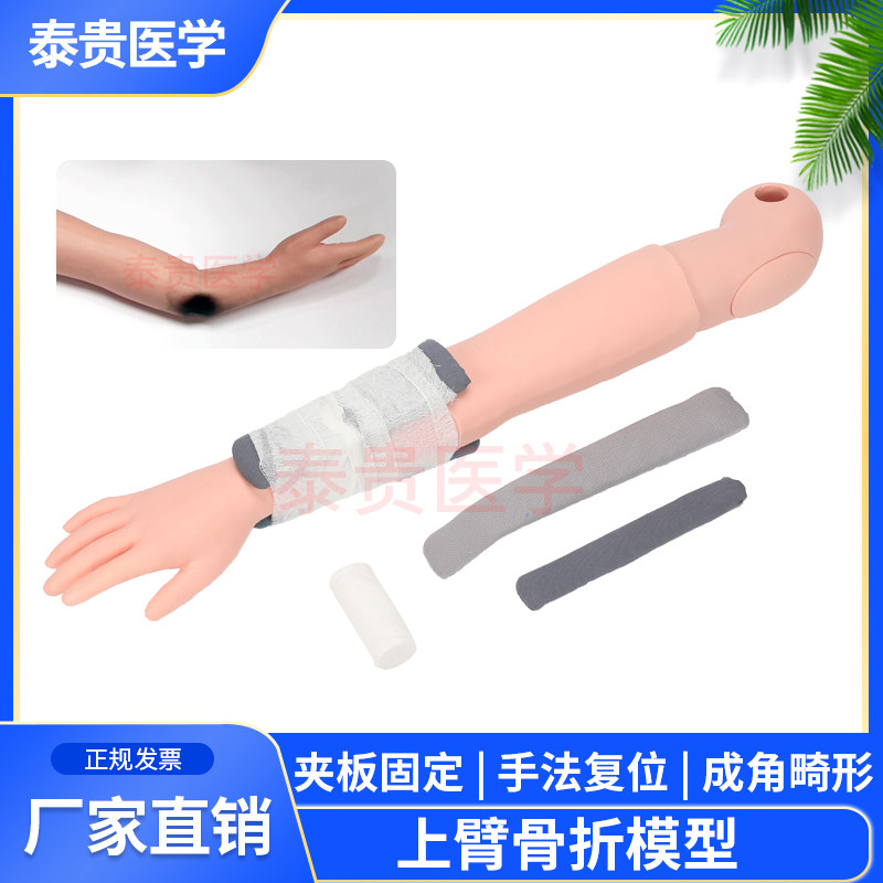 泰贵医学TG/H340上臂骨折模型手臂成角畸形断手夹板固定教学训练