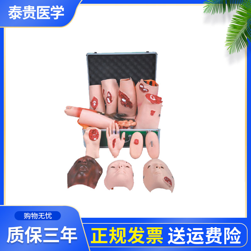 泰贵医学TG/110-16高级创伤评估模块全功能创伤护理教学模块医学教学模型护理教学模型