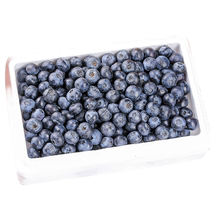 2024 Fresh Blueberry Seasonal Fruit Blue Plum Fresh Fruit Alpine Sweet Blueberry Pregnant Women Large Fruit Spot Sweet