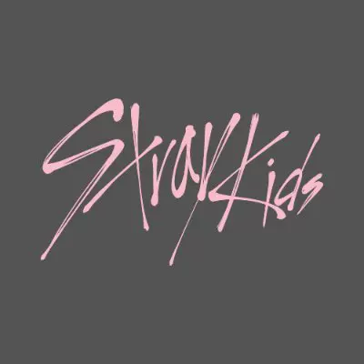 Spot Stray Kids straykids DOIT аудио специальный EvilSkzooSpeaker оригинал не вскрыт