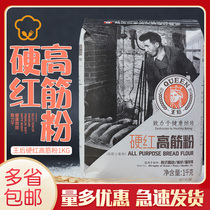Queen Hard Red High Than 1kg Bread Toast Pizza Noodles High Powder Wheat Flour Home Bake