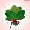2025 New Popular Grapefruit Leaf Plush Toy, Plush Car Hanging Ornament, Gift for Friends
