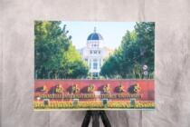 Shanghai Foreign Studies University postcard postcard on overseas postcard on postcard and overseas souvenirs