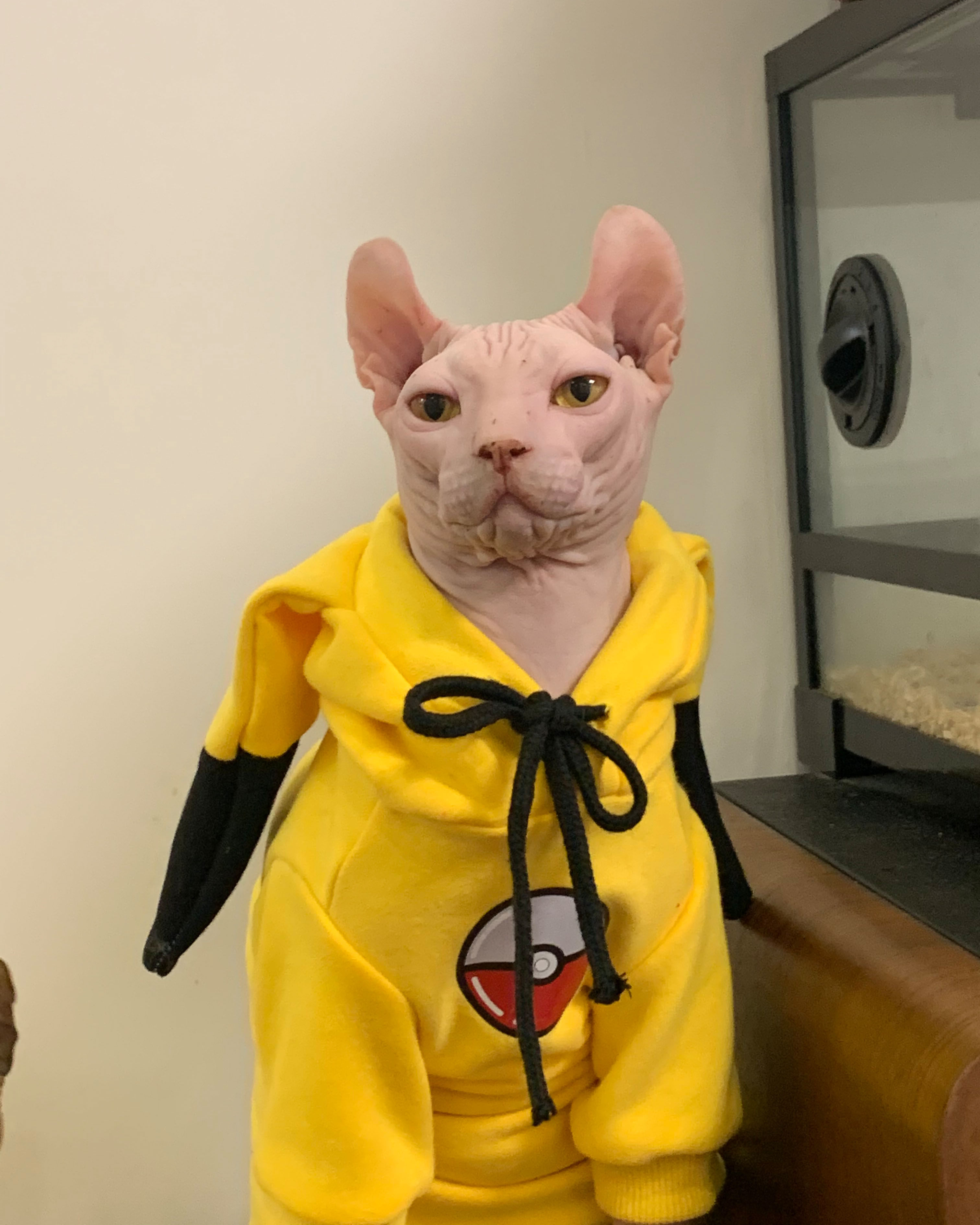 Catty-free clothes thick autumn and winter plywood Sfinks warm air conditioning clothes pure cotton grab fluff clothes