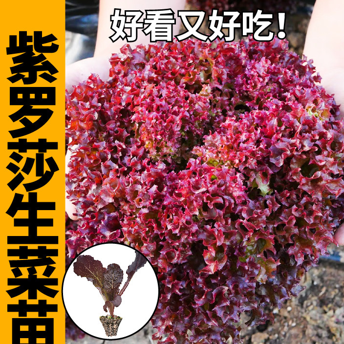 2026年想成为货代高手必备？读《<strong>货代高手教你做货代</strong>》就够了吗？