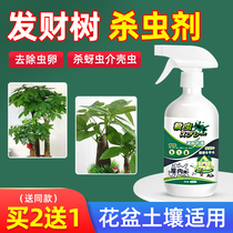 Hair Treasure Tree Insecticide Home Indoor Happiness Tree Potted Green Plant Exclusive Killing Red Spider Spray Killing Pest