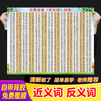 Elementary school students idioms of the near term anti-semite words language foundation idioms large all study wall map wall sticker posters