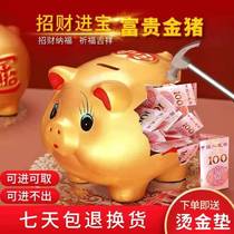 Creative gift ceramic golden pig adult childrens piggy bank cupping piggy bank piggy bank can only enter or not