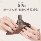 TNG Takaro 12 -отверстие термин AC терминал Начало работы Zisha Twelen Pole Puzzle Средний звук C Регулирует F -Регулирование G Уровень регулировки