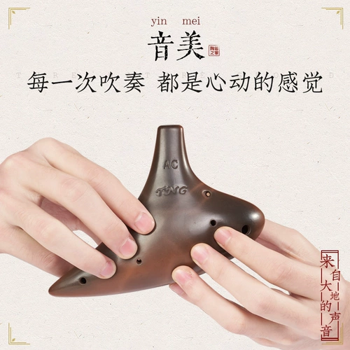 TNG Takaro 12 -отверстие термин AC терминал Начало работы Zisha Twelen Pole Puzzle Средний звук C Регулирует F -Регулирование G Уровень регулировки