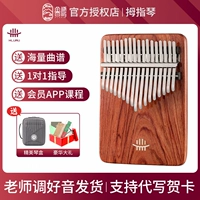 17 Yinzan Baya Rosewood+Learning Learning Information+Qinbao
