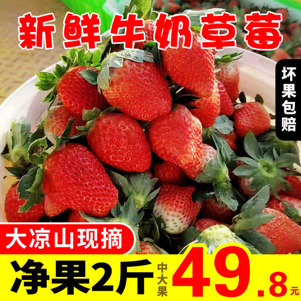易佰悠果 红颜奶油草莓 2斤 天猫优惠券折后￥29.8（￥49.8-20）
