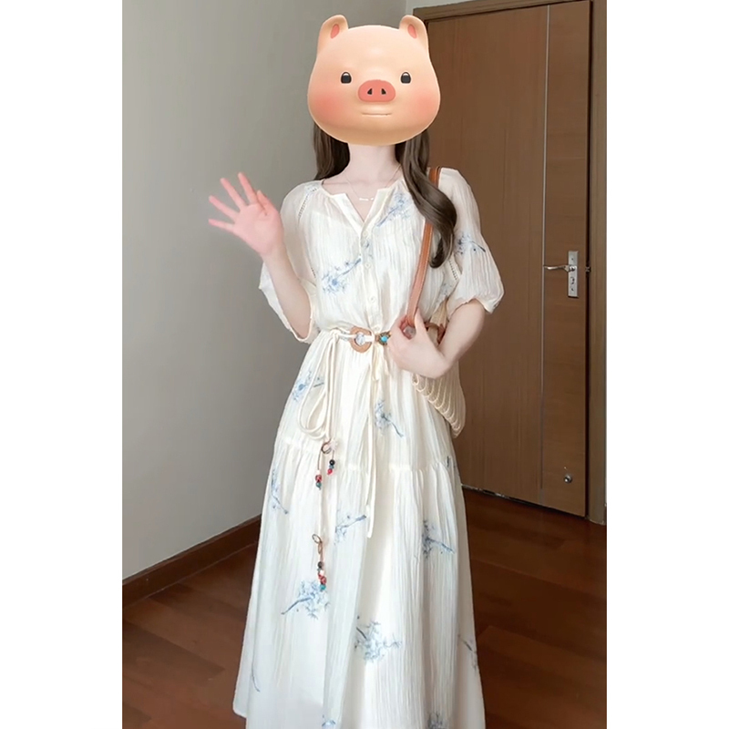 French-Style Gentle New Chinese Dress for Women, Summer 2026 New Model, High-End Elegant National Style Embroidered Waist-Cinching Long Dress