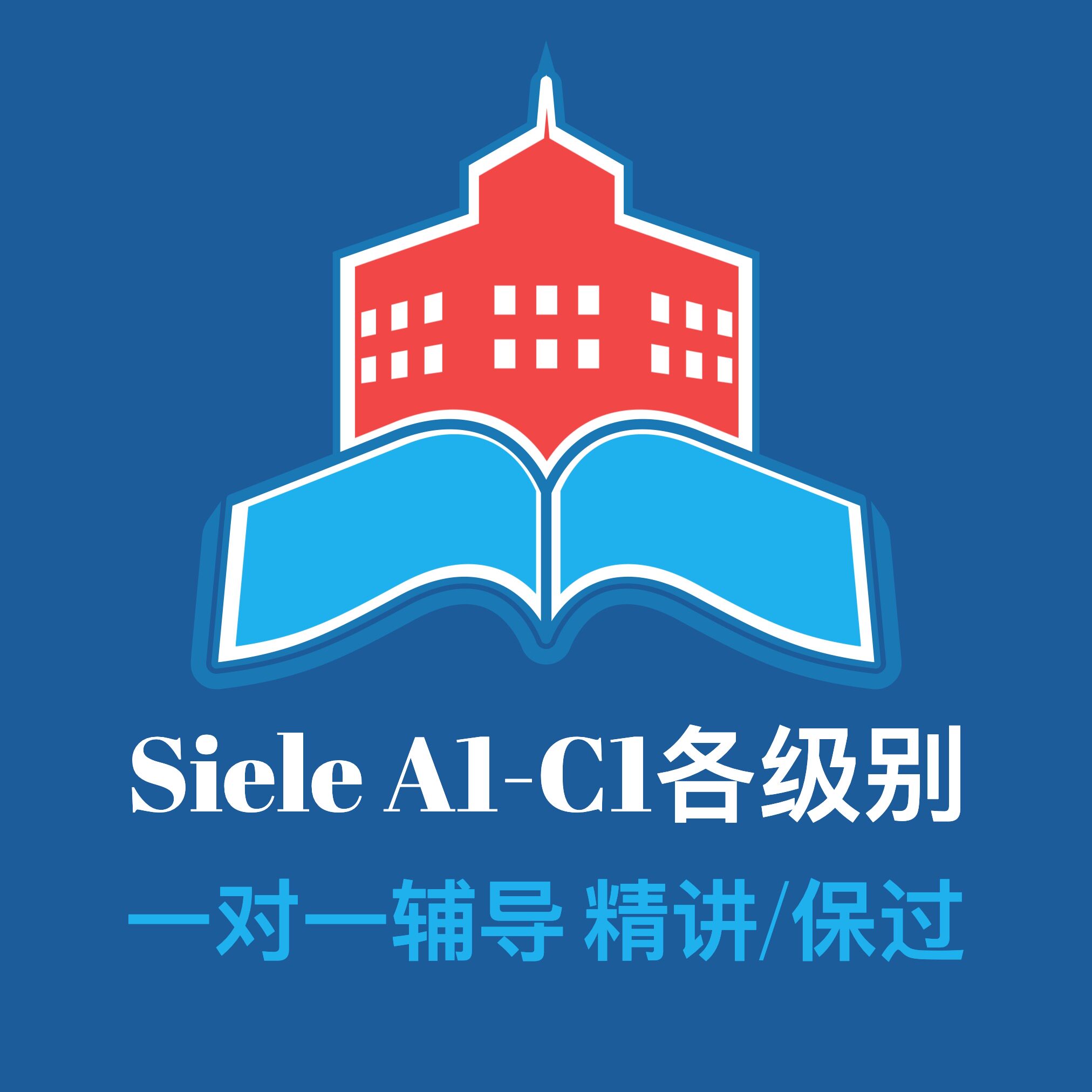Recommended Spanish Siele exam preparation professional tutoring training one-on-one online class intensive lectures apto