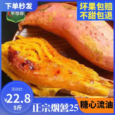 Shandong tobacco potato 25 fresh sweet potato sugar heart flow oil sweet small sweet potato roasted sweet potato farmhouse sand rich selenium Taro 5kg