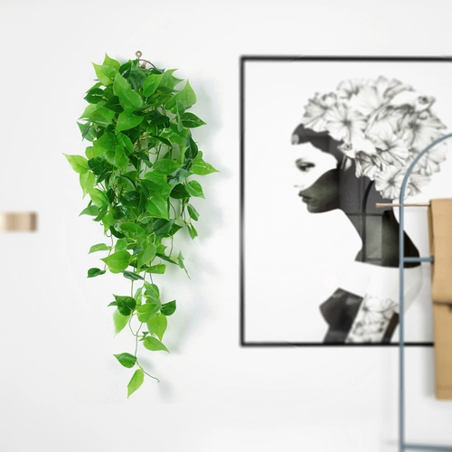 Симуляция зеленая живая стена висящая гостиная на стене зеленое растение