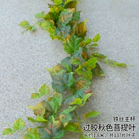 Железная лоза скрещена клей осенний лист бодхисаттвы