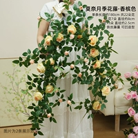 Лоза цвета шампанского Моне роза длиной 1,8 метра