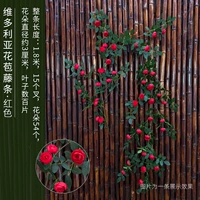 1,8 метра Victoria Vine Red One Wire -Vine Легко выпукать формы