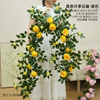 Желтая роза Моне длиной 1,8 метра.