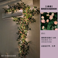 Порошок шампанского AUGS Цветочная виноградная лоза + легкая полоса/2 цветочная виноводная лоза легко выпукнуть форму