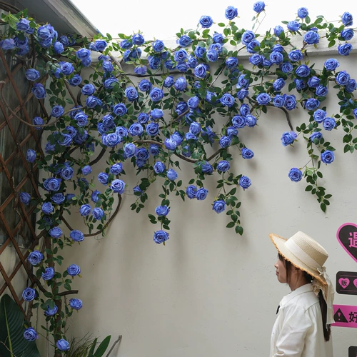 Смоделированная монетная виноградная лоза Роза Фахская розовая винограда Мунтун живописной торговый центр набор торговых центров мягкое украшение цветочное украшение