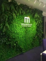 M -тип база Wufu Cao/квадратный метр цена