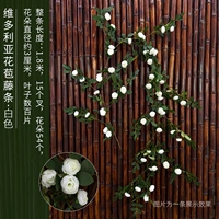 1,8 метра Victoria Vine White One Wire -Vine Легко выпукать формы