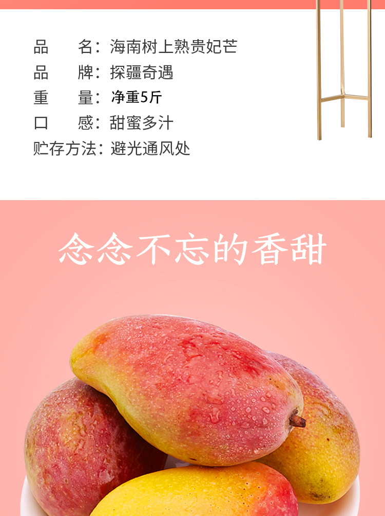 [樹上熟]海南貴妃芒果