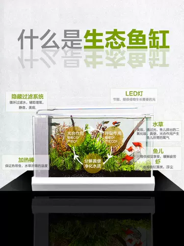 Экологическая бутылочка рыбака рыба -фермерский фермерский фермерский бассейн дома мини -мини.Маленький аквариум -аквариум аквариум по декоративному офису