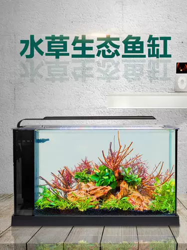 Экологическая бутылочка рыбака рыба -фермерский фермерский фермерский бассейн дома мини -мини.Маленький аквариум -аквариум аквариум по декоративному офису