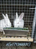 Подвеска для кормления кролика Универсальная канавка клетка Daquan Бесполезное планар кроличье ящик кролик кролик кролик кролик кролик