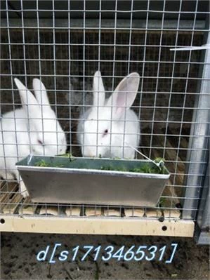 Подвеска для кормления кролика Универсальная канавка клетка Daquan Бесполезное планар кроличье ящик кролик кролик кролик кролик кролик