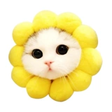 Шапка, шлем, удерживающее тепло милое средство от укусов, аксессуар для волос