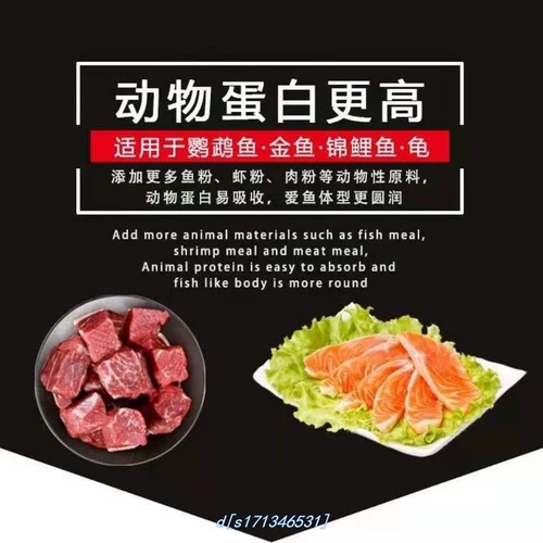 (Весенняя рекламная реклама снижение пельменов) Золотая рыбка кормит рыбную рыбу рыб