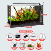 R80-A520 PAL ТАКАЯ ТАКА