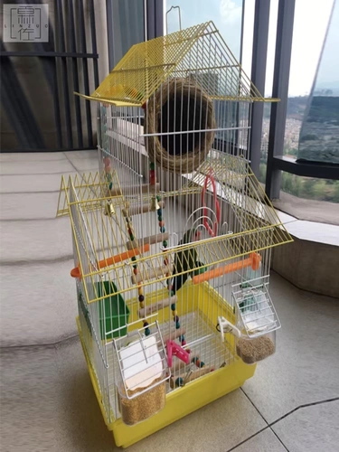 Большая вилла, двухэтажный замок, большой кролик