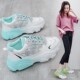 Ins old shoes trendy shoes women's spring and autumn new breathable mesh all-match student casual women's shoes sports shoes