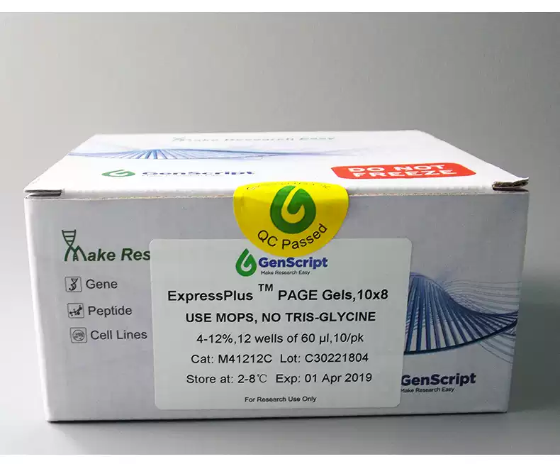 金斯瑞 Genscript SurePAGE蛋白预制胶sds-page 电泳蛋白胶4%-20% 10孔/12孔/15孔 10块/盒 包邮