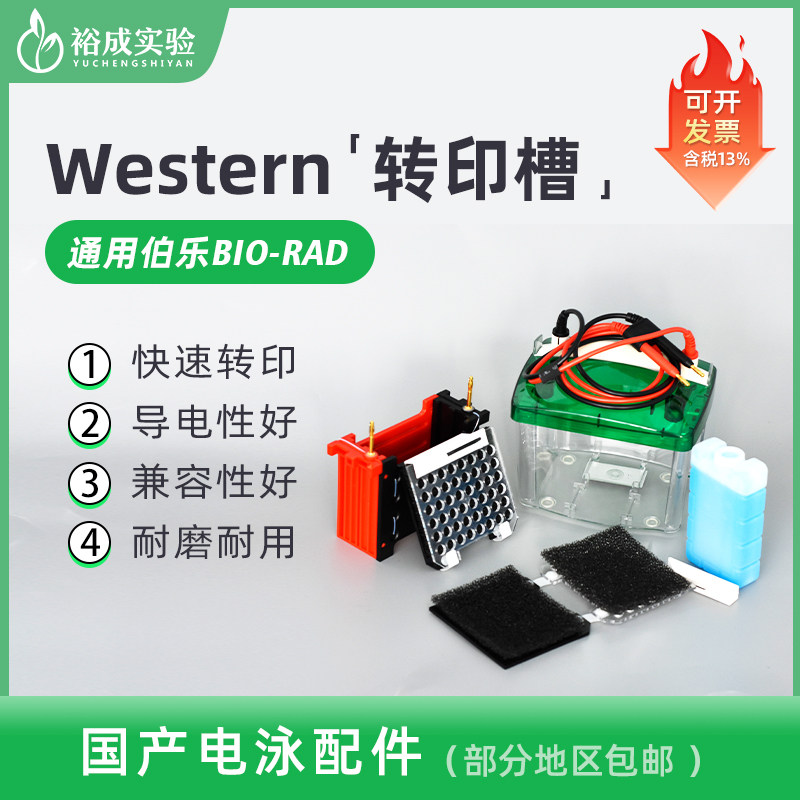 bio-rad伯乐转印海绵冰盒电泳仪