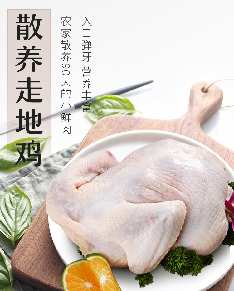 彦伯 农家散养土雏鸡 670g*3只 3个月生长鸡龄 图1