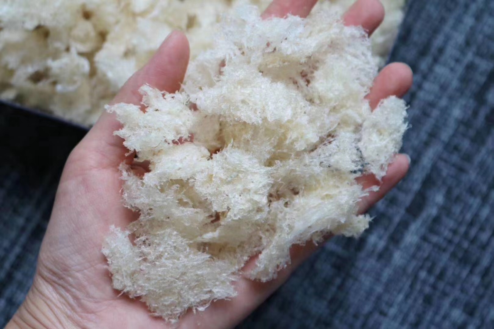 Cystic swiftlet 95 dry degree with easy price-performance ratio high Yancoise hair good taste good heart-shaped oatmeal 50 gr