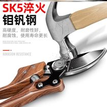 Fruit tree scissors special scissors pruning shears repair grafting large shears lengthy manual peach tree gardening tools artifact