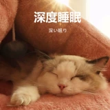 Удерживающий тепло милый спальный мешок, милые тапочки, кот, домашний питомец