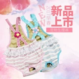 Пятничные подгузники плюшевая собака подгузник размер чая чайная чашка, санитарные собаки физиологические штаны