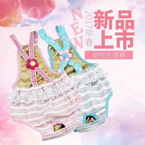 Пятничные подгузники плюшевая собака подгузник размер чая чайная чашка, санитарные собаки физиологические штаны