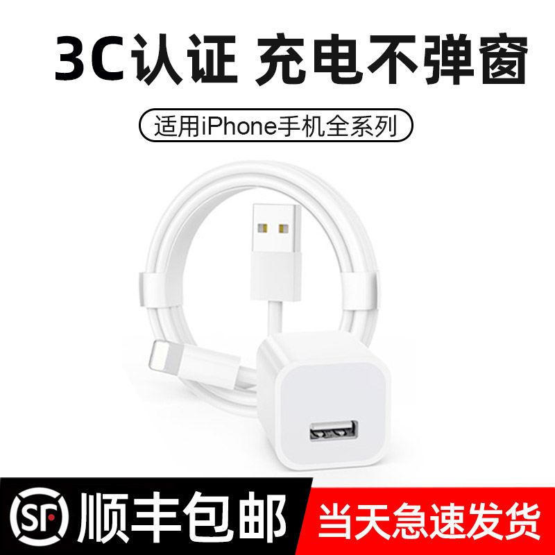 iPhone Charger 5v1a Charging Head 5w for Apple 6 6s 7 8plus X XR Universal Accessory USB Port Small Head 5w Power Adapter Brand Plug