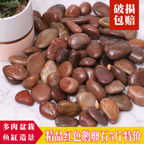 Natural rain flower stone garden rough stone five color garden decoration fish tank flower pot stone small stone red pebbles